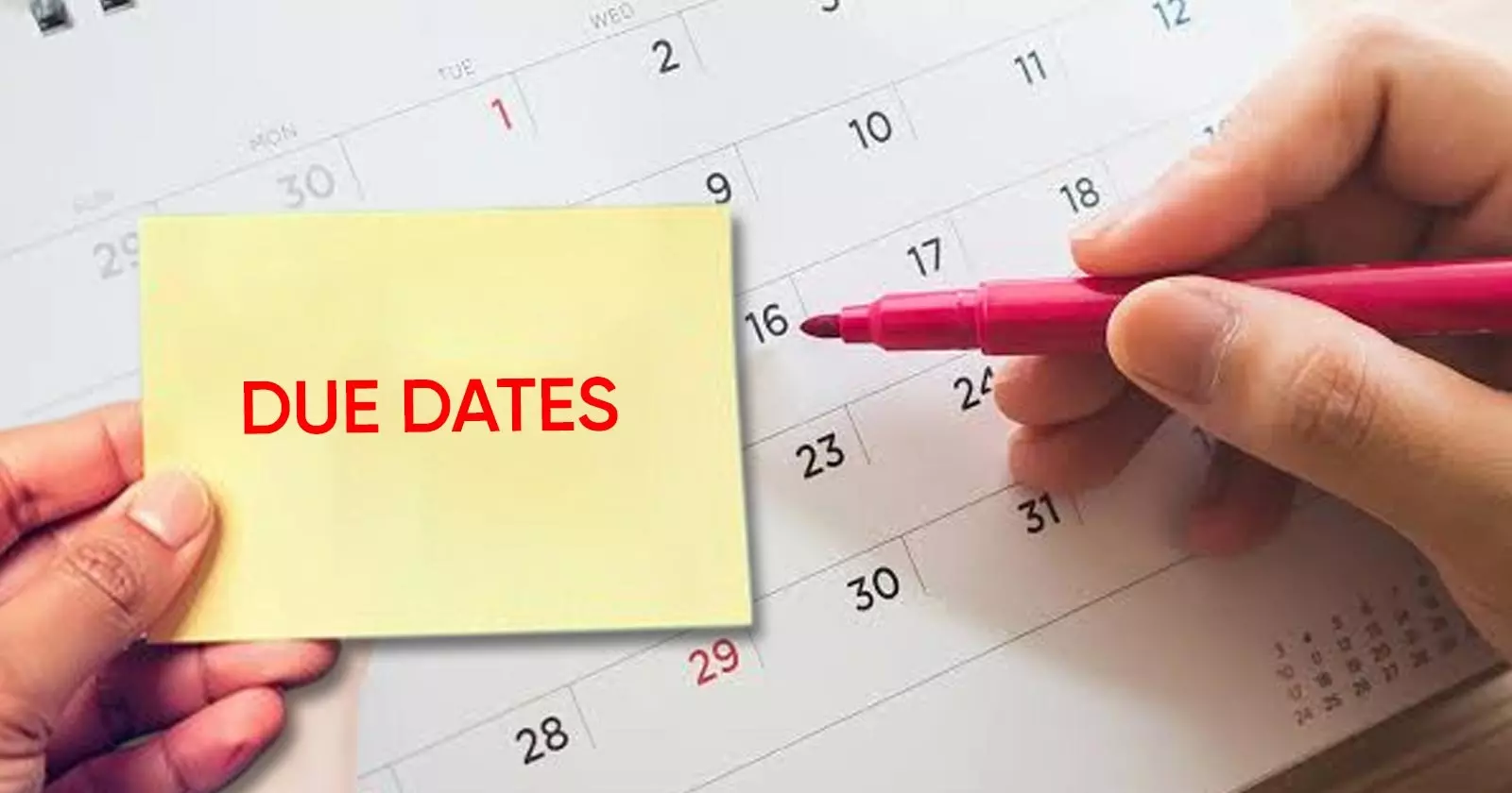 Compliance Calendar for August 2026 Announced