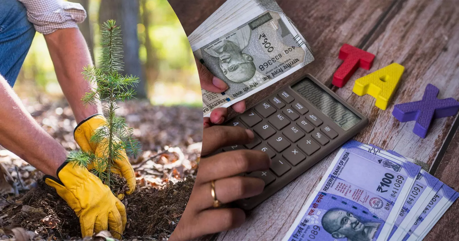 ITAT Grants Taxpayer Opportunity with 500-Tree Plantation Condition
