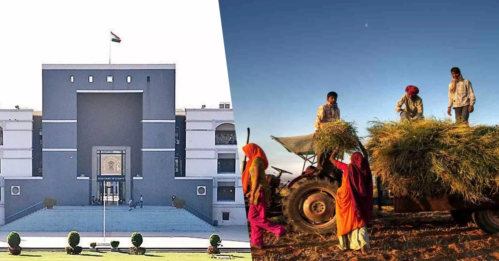 Expenditure on Supervision of Trees Grown by Farmers Not Agricultural Expenditure: Gujarat HC Upholds ITAT Order [Read Order]